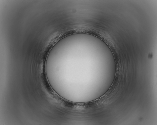 X0000091460694200708161107