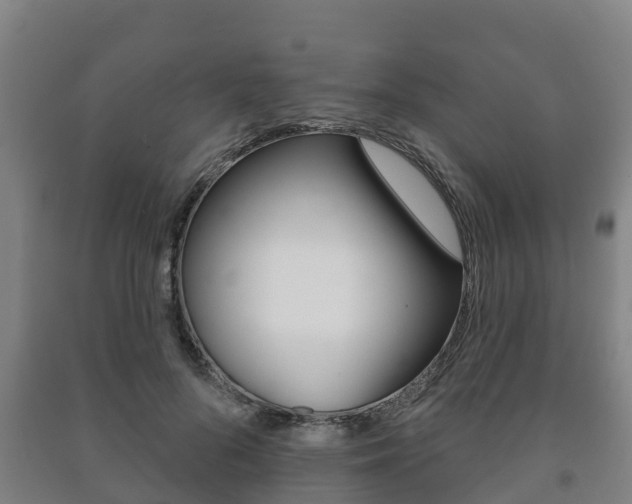 X0000091460696200708161107