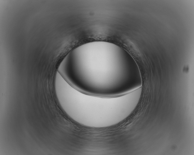X0000091460697200708161107