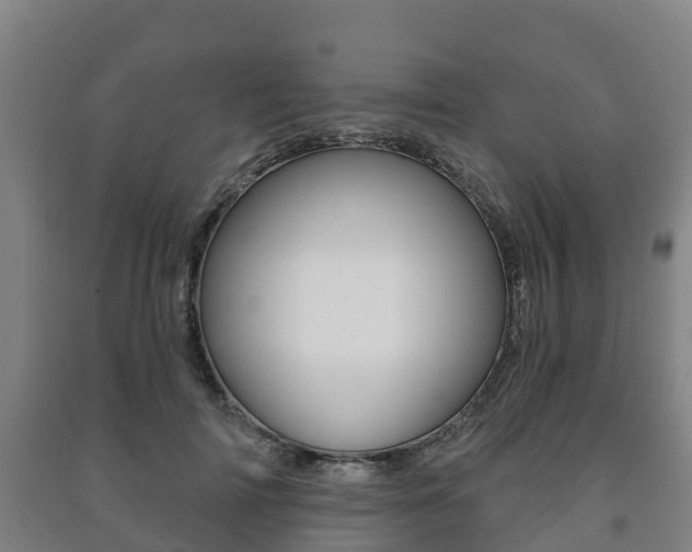 X0000091460698200708161107