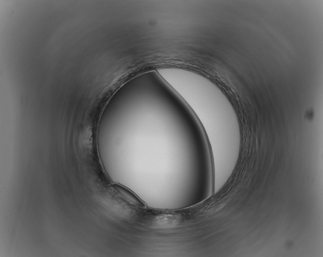 X0000091460700200708161107