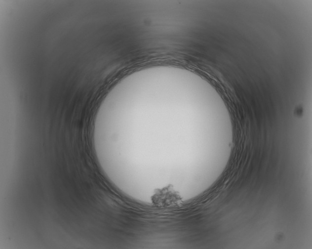 X0000091460701200708161107