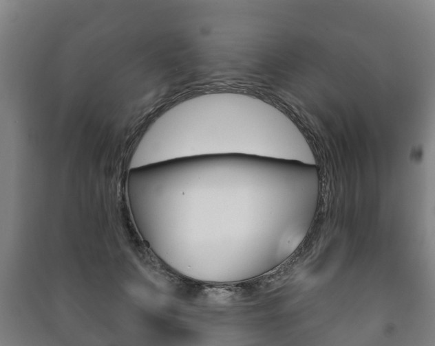 X0000091460703200708161107