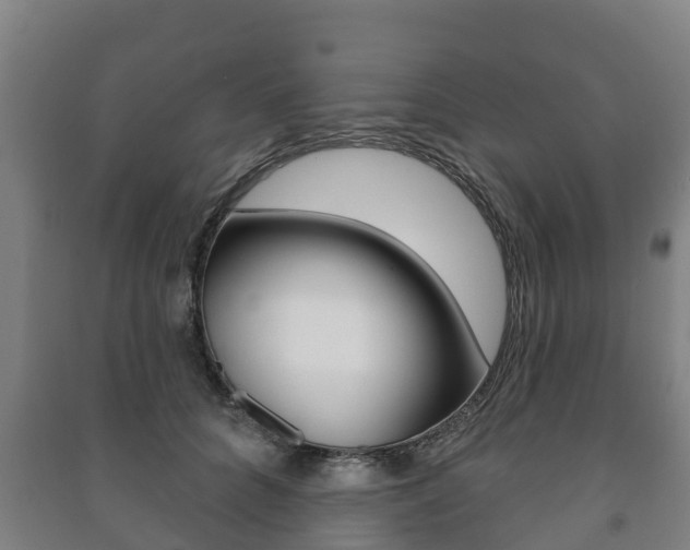 X0000091460704200708161107