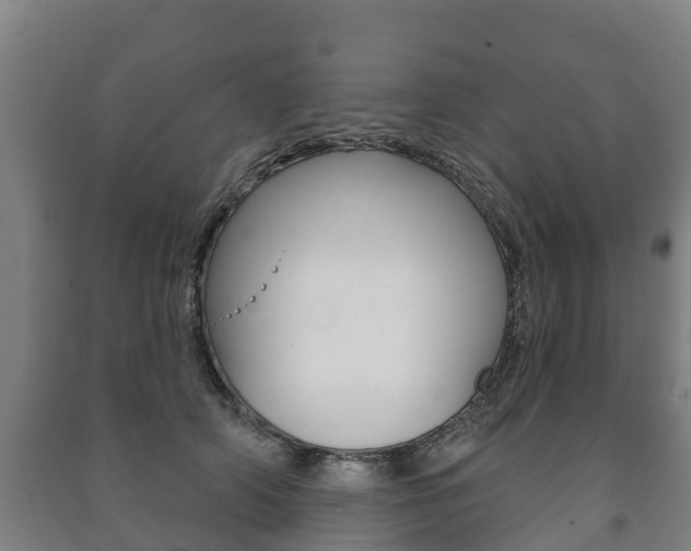 X0000091460706200708161107