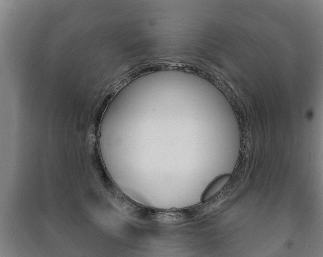 X0000091460707200708161107