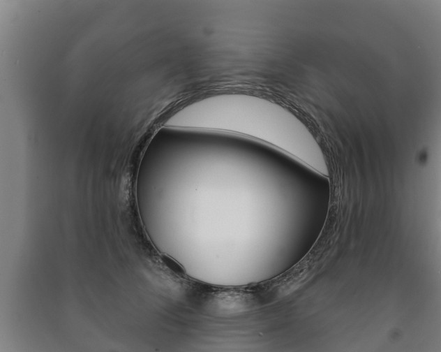 X0000091460708200708161107