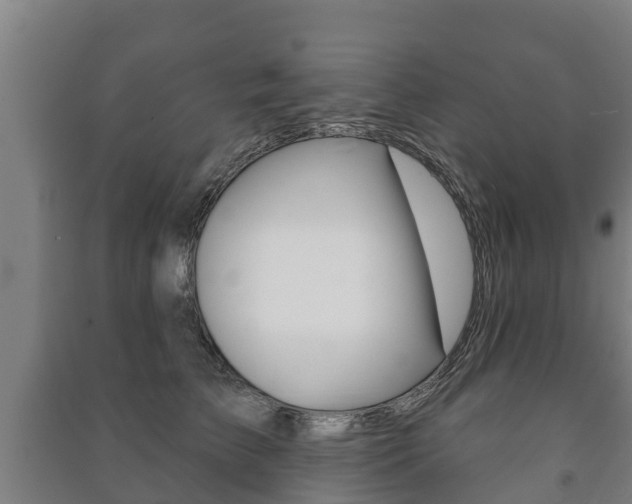 X0000091460709200708161107