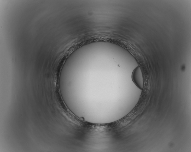 X0000091460710200708161107