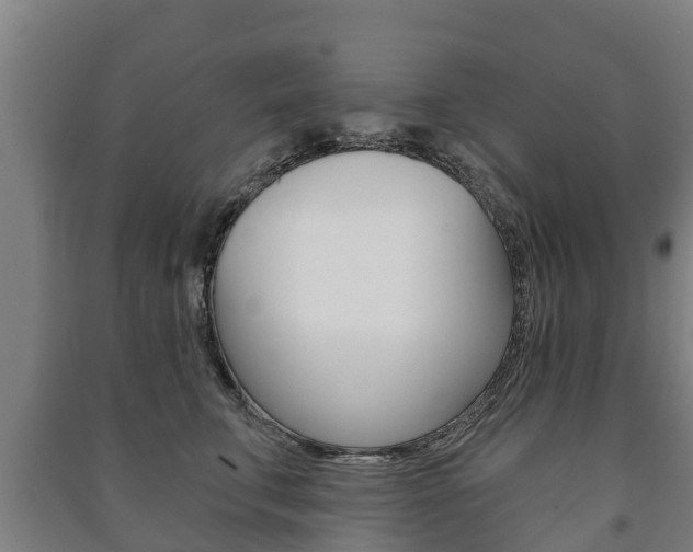 X0000091460711200708161107
