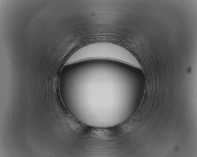 X0000091460712200708161107