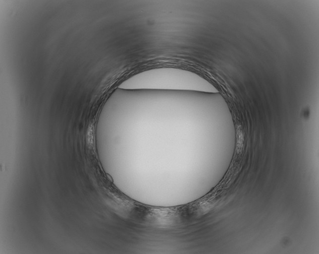 X0000091460713200708161107