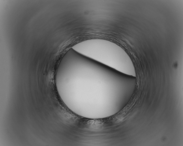 X0000091460714200708161107