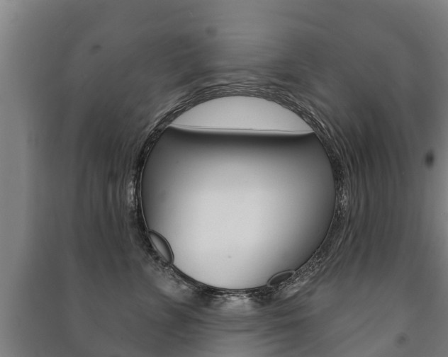 X0000091460715200708161107