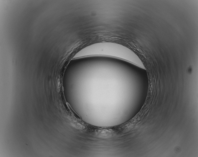 X0000091460716200708161107