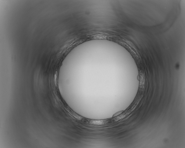 X0000091460717200708161107