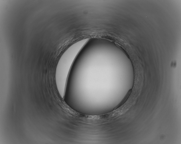 X0000091460720200708161107