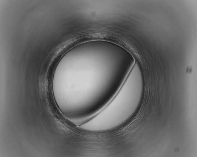 X0000091460722200708161106