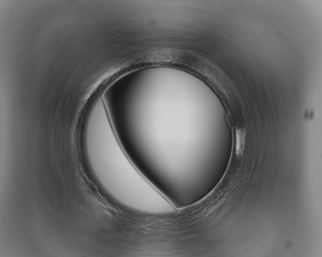 X0000091460723200708161106