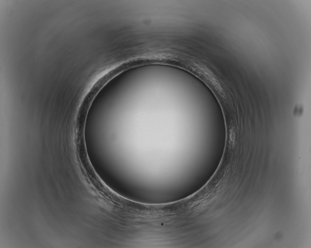 X0000091460724200708161106