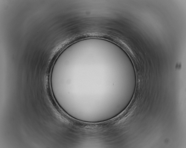 X0000091460725200708161106