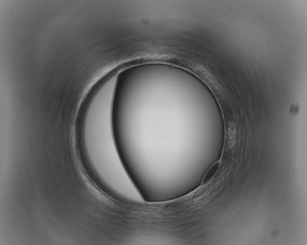 X0000091460726200708161106
