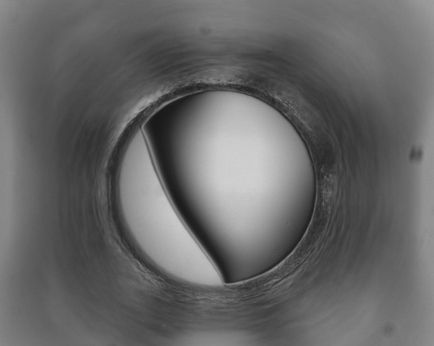 X0000091460727200708161106