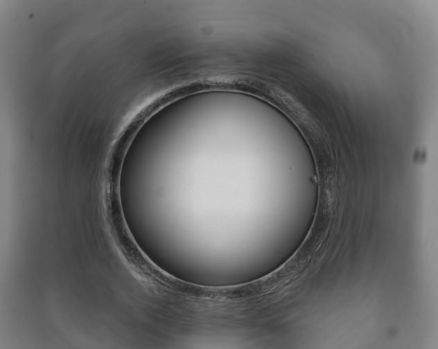 X0000091460728200708161106