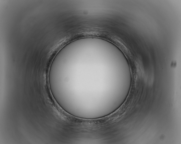 X0000091460729200708161106