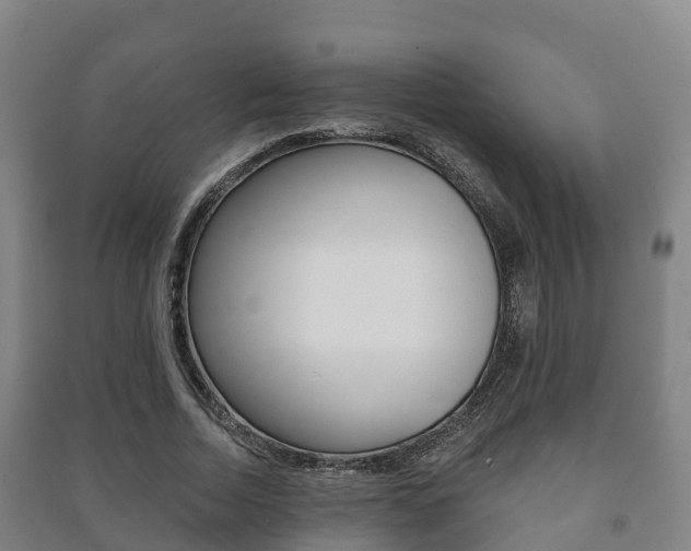 X0000091460730200708161106