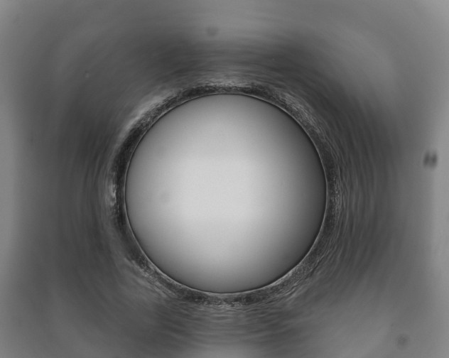 X0000091460731200708161106