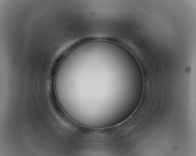 X0000091460732200708161106