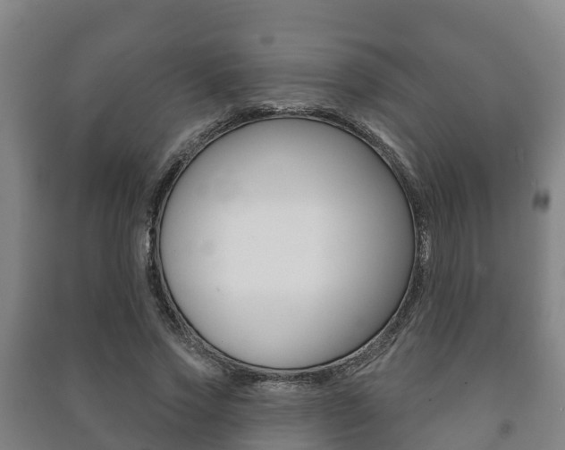 X0000091460733200708161106