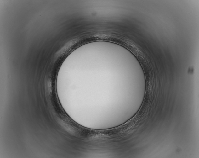 X0000091460734200708161106