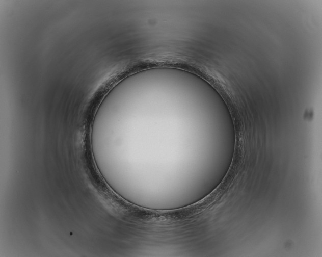 X0000091460735200708161106