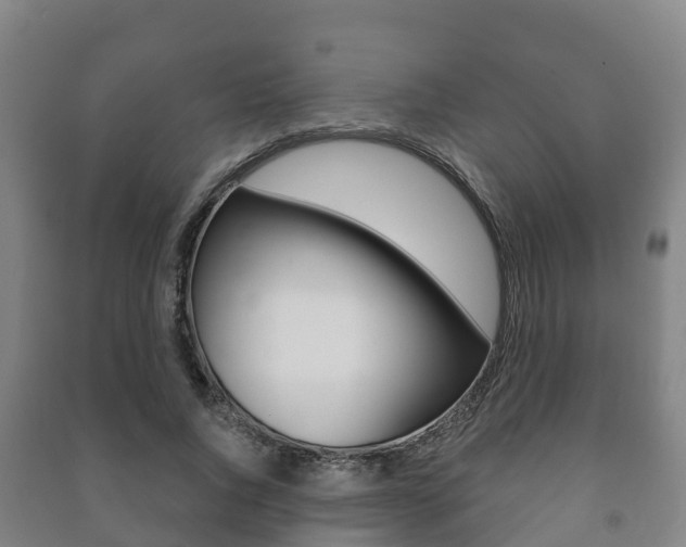 X0000091460736200708161106