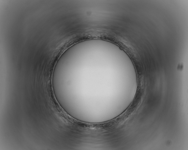 X0000091460737200708161106