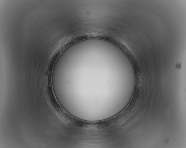 X0000091460738200708161106