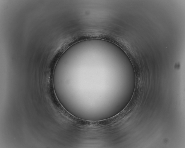 X0000091460739200708161106