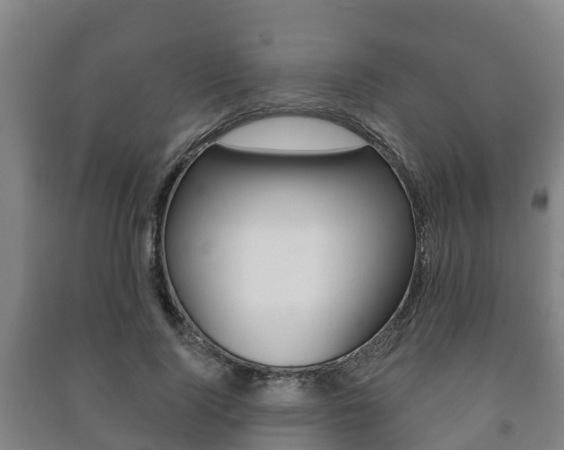 X0000091460740200708161106