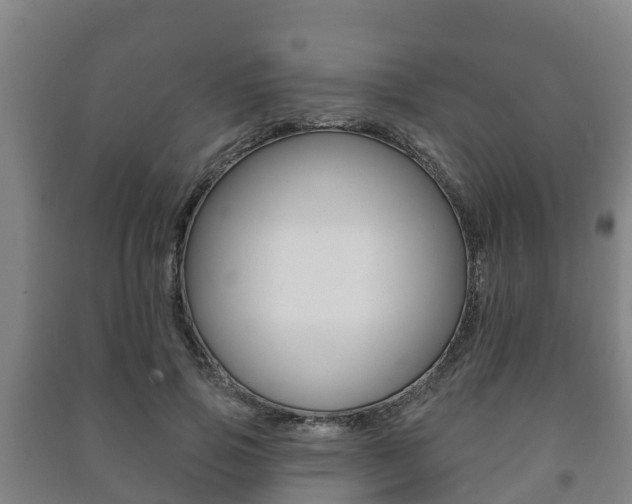 X0000091460741200708161106