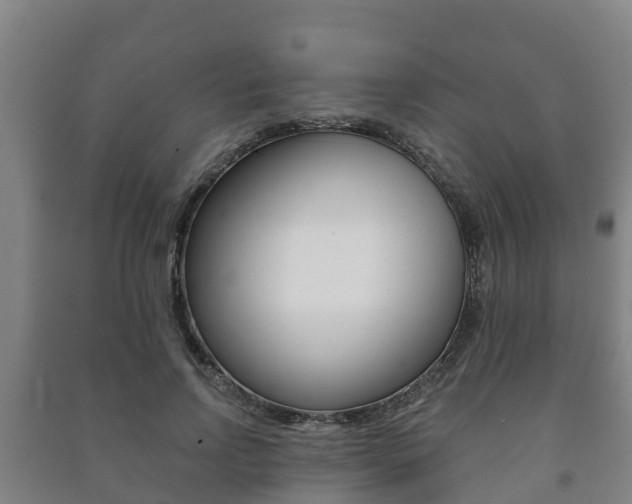 X0000091460742200708161106