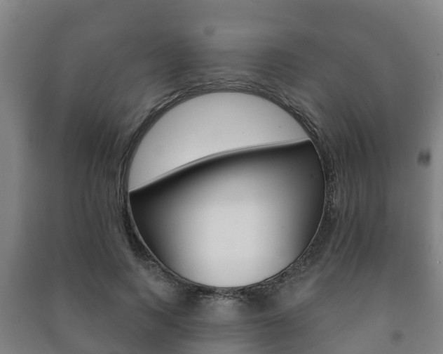 X0000091460743200708161106