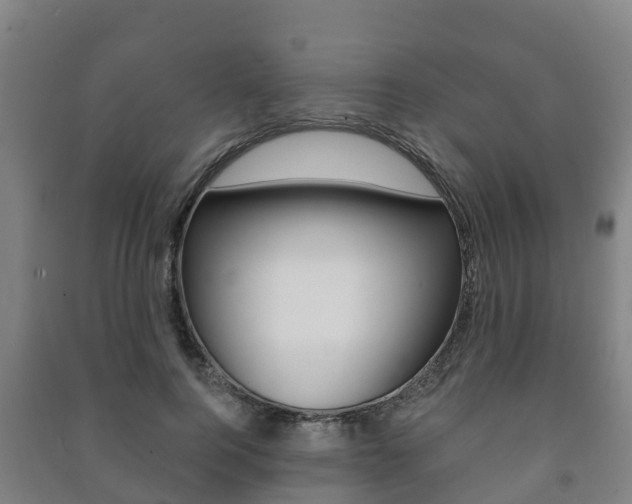 X0000091460744200708161106