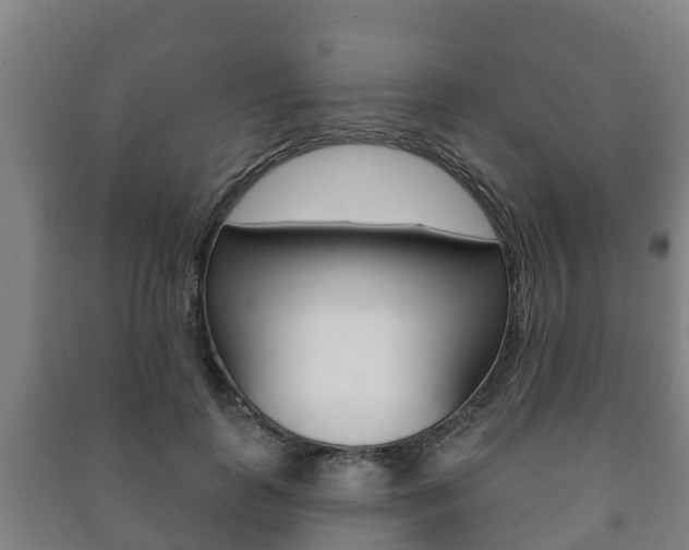 X0000091460747200708161106