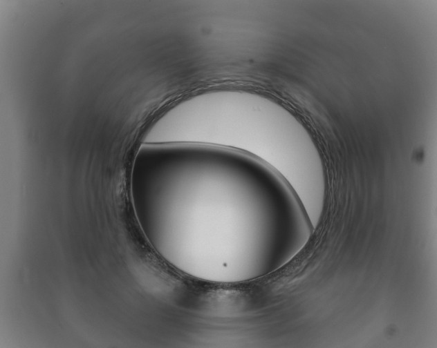 X0000091460748200708161106