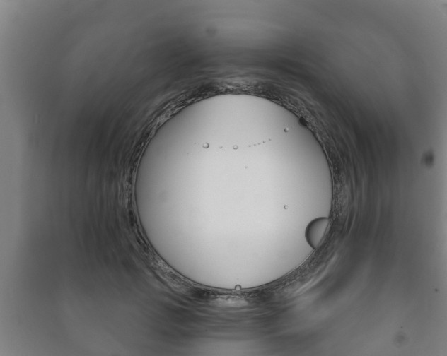 X0000091460749200708161106
