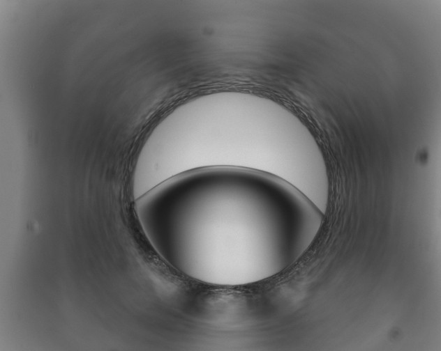 X0000091460750200708161106