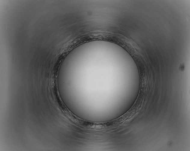 X0000091460751200708161106