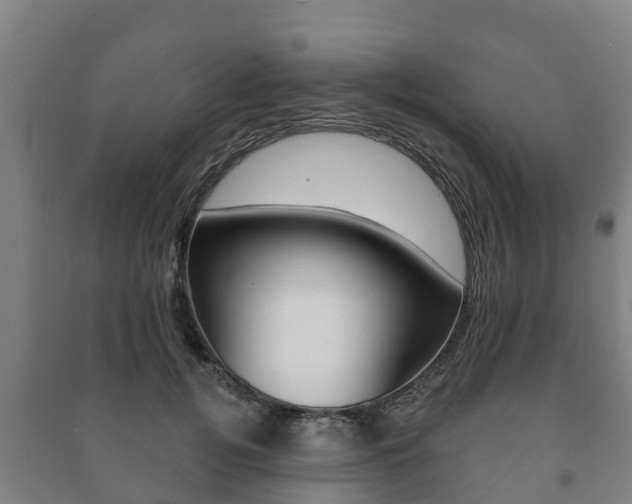X0000091460752200708161106